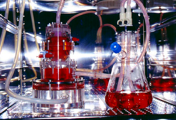 Bioreactor Technology - Synthetic Reagents